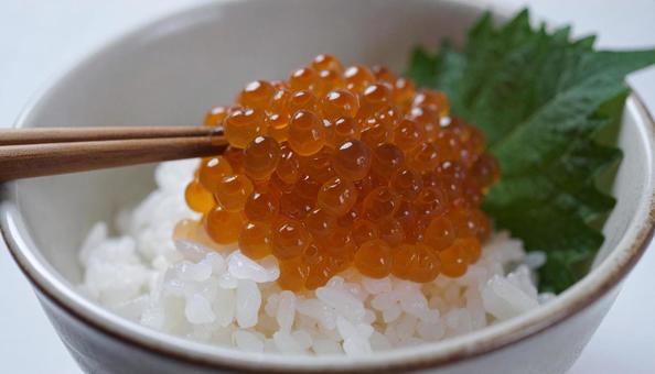 ご飯にイクラをたっぷりのせて食べる ご飯にイクラをたっぷりのせて食べるの写真