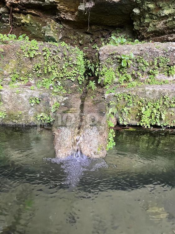 湧き水　前川民間防空壕　前川樋川 湧き水,前川樋川,南城市の写真素材