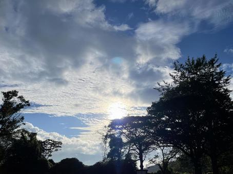森林に隠れる太陽 森林に隠れる太陽の写真