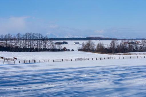 静かに春を待つ冬の牧場 静かに春を待つ冬の牧場 青空,雪,雪原の写真素材