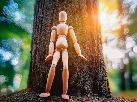 デッサン人形と木漏れ日 デッサン人形と木漏れ日の写真