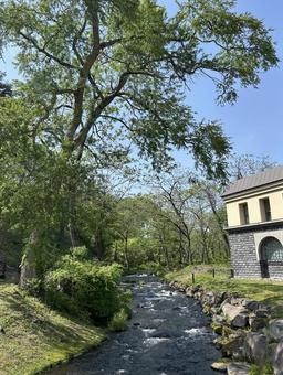 川 川,自然,癒しの写真素材