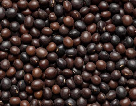 黒茶色の大豆の集合 黒茶色の大豆の集合の写真