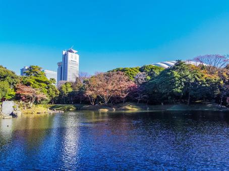 【東京都】文京区・小石川後楽園 【東京都】文京区・小石川後楽園 小石川後楽園,紅葉,水道橋の写真素材