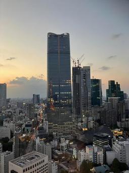 東京タワー 東京タワーの写真