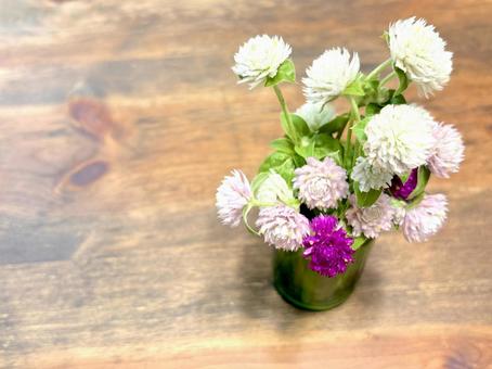 卓上に飾った千日紅 03の写真