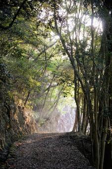 Photo, tsushima, kaneda castle ruins, historical site, 