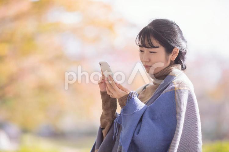 秋の公園でスマホを見る会社員の女性（困る） スマホ,スマートフォン,女性の写真素材