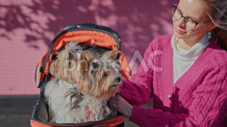 ヨークシャテリアに寄り添っている女性 女性,人物,犬の写真素材