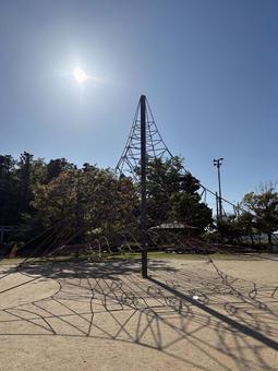Photo, park, blue sky, spring, 