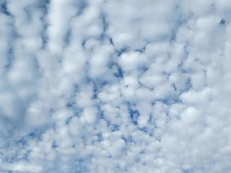ひつじ雲 ひつじ雲,雲,高積雲の写真素材