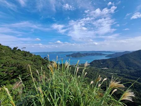 龍郷湾を望む 龍郷湾,望む,奄美自然観察の森の写真素材