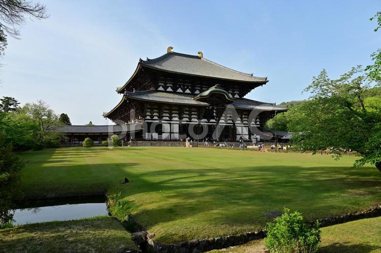 夕方の東大寺　奈良県 東大寺,奈良,大仏の写真素材