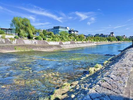 鴨川 鴨川 京都,鴨川,川の写真素材