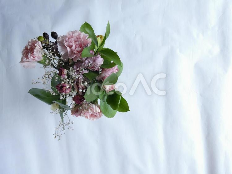 しおれゆくピンクの花束（白紙背景）左上 しょぼん,落ち着いた,老いの写真素材