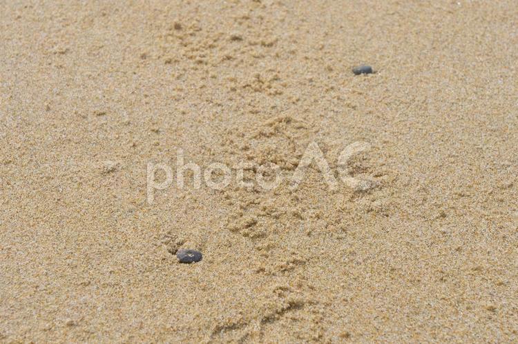 砂浜と小石 砂,石,砂浜の写真素材