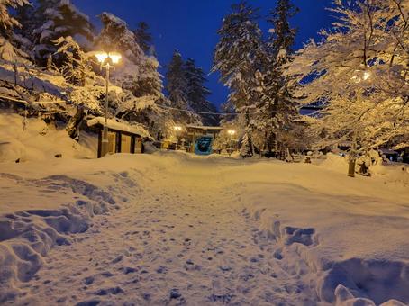 冬の上杉神社 風景,冬,雪景色の写真素材