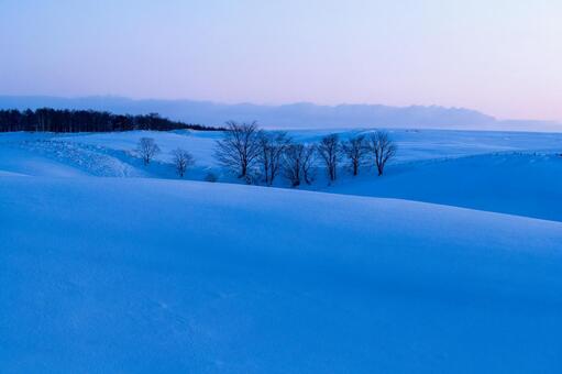 夜明け前の深い青に染まる雪原と林 雪原,丘陵,牧場の写真素材