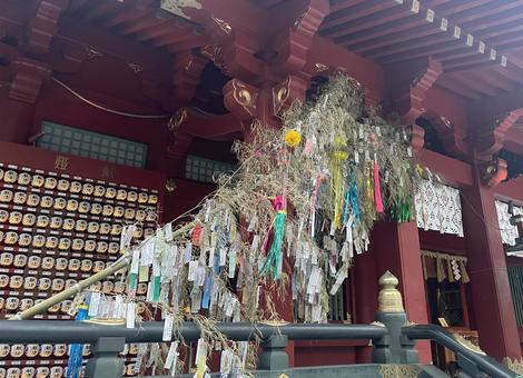 神田明神の七夕祭り 七夕祭り,笹の葉,短冊の写真素材