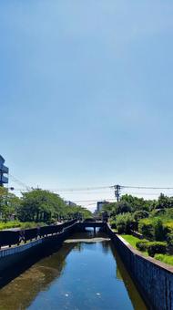 川辺と青空 川辺と青空の写真