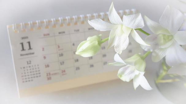 11月のカレンダーと白い花 11月のカレンダーと白い花の写真