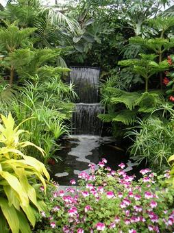 植物園の風景 植物園の風景の写真