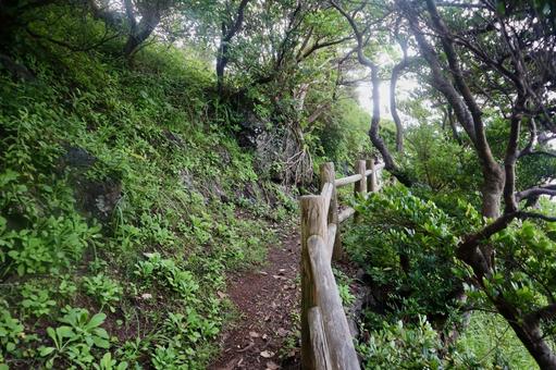 福江島の遊歩道 福江島の遊歩道の写真