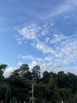 田舎の風景 秋,空,緑の写真素材