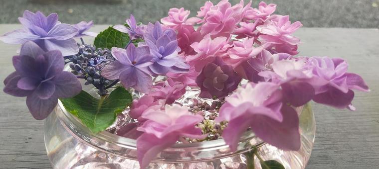 佐賀県 福母八幡宮 花手水 佐賀県 福母八幡宮 花手水の写真