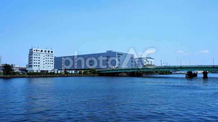 夢の島公園からの眺め・夢の島大橋・江東区 夏,夢の島公園,江東区の写真素材