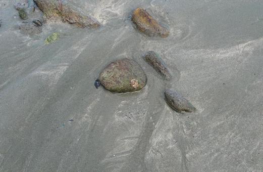 Stones found on the beach, JPG