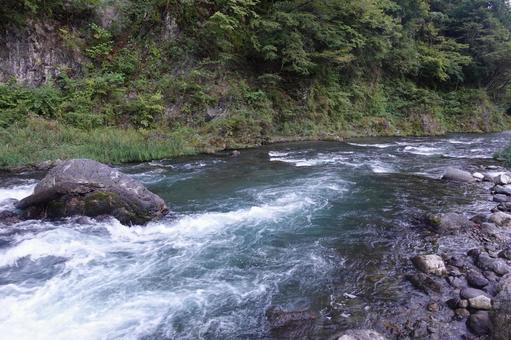 多摩川 多摩川の写真