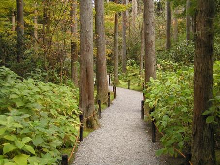 京都 大原 京都 大原の写真
