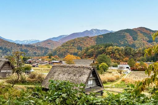 紅葉した山々と白川郷の風情ある茅葺きの家 合掌造り,白川郷,家屋の写真素材