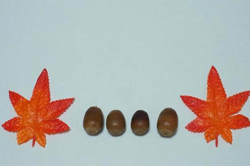 どんぐり もみじ どんぐり もみじ どんぐり,紅葉,茶色の写真素材