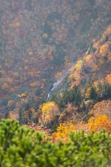 紅葉の山を流れる「あまりょうの滝」の写真