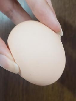 タマゴを手に持つ人 タマゴを手に持つ人の写真