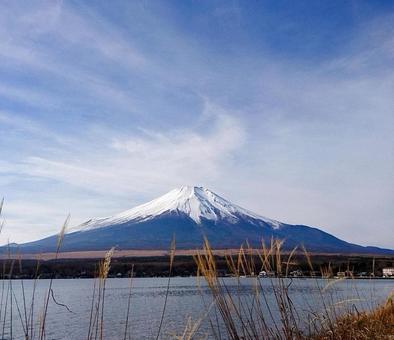 山中湖畔から見る富士山 山中湖畔から見る富士山 富士山,山中湖,湖の写真素材
