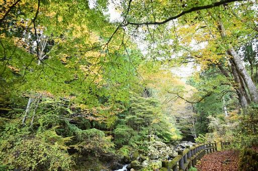 栃木県鹿沼市にて、風景 栃木県鹿沼市にて、風景の写真