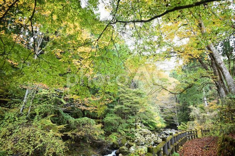 栃木県鹿沼市にて、風景 自然,風景,空の写真素材