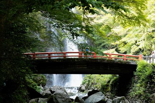 箕面の滝 箕面の滝 箕面大滝,箕面の滝,箕面市の写真素材