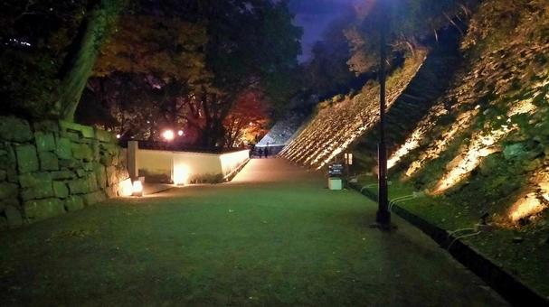 和歌山城紅葉渓庭園のライトアップ 和歌山城紅葉渓庭園のライトアップ ライトアップ,夜景,紅葉の写真素材