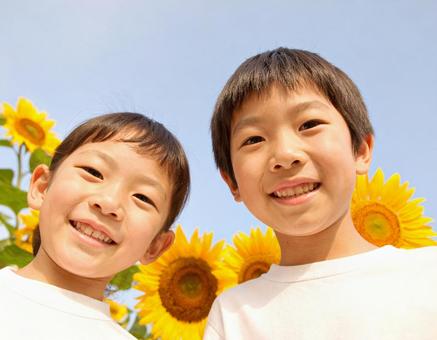 ひまわりと青空と子供たち ひまわりと青空と子供たちの写真