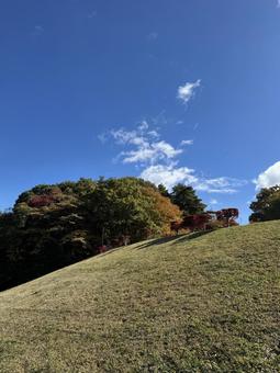 晩秋の小坂田公園の紅葉（長野県塩尻市）の写真