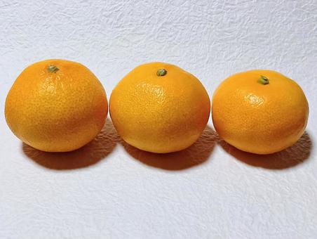 みかん みかん,果実,柑橘類の写真素材