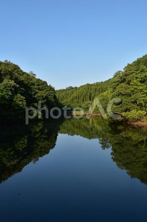 空と森と静かな水面　笹尾池 青空,森,池の写真素材
