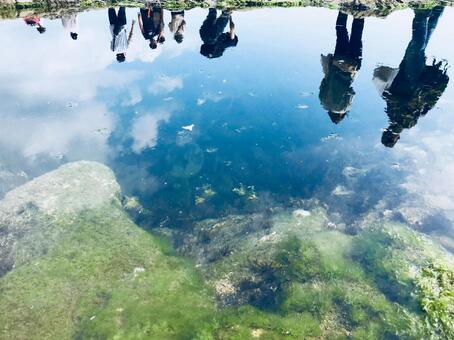 江ノ島_稚児ケ淵 江ノ島_稚児ケ淵の写真