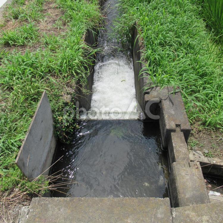 田畑へ向けて水を送る用水路 用水路,水,流れの写真素材