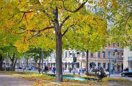ヘルシンキの紅葉 ヘルシンキの紅葉 北欧,紅葉,ヘルシンキの写真素材