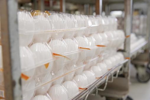 スーパーの卵売り場に並ぶ白い卵 卵,玉子,鶏卵の写真素材